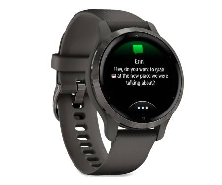 Смарт-часы Garmin Venu 2S Slate Bezel with Graphite Case and Silicone Band (010-02429-10)