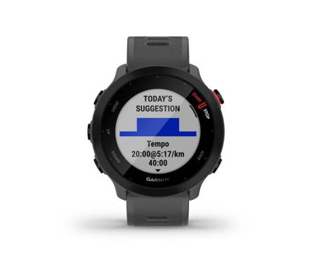 Смарт-часы Garmin Forerunner 55 Monterra Grey (010-02562-13)