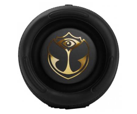 Колонка JBL Charge 5 Tomorrowland Edition (JBLCHARGE5TML)