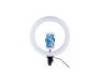 LED-лампа 12inch ZM300 Light set / black
