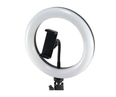 LED-лампа 12inch YQ-320A light set / black
