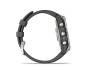 Смарт-часы Garmin Fenix 7 Silver with Graphite Band (010-02540-00/01)