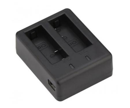 Аксессуар к экшн-камерам AirOn dual charger for Procam 7/8 (69477915500037)