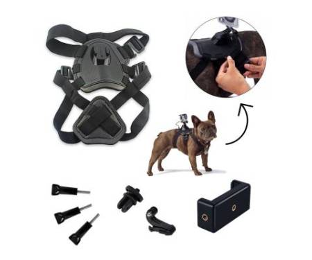 Аксессуар к экшн-камерам AirOn kit mounts AIRON ACS-3 dog (69477915500012)
