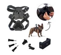 Аксессуар к экшн-камерам AirOn kit mounts AIRON ACS-3 dog (69477915500012)