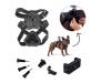 Аксессуар к экшн-камерам AirOn kit mounts AIRON ACS-3 dog (69477915500012)