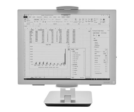 Монитор ONYX BOOX Mira