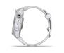 Смарт-часы Garmin Fenix 7S Stainless Steel with Whitestone Band (010-02539-03)