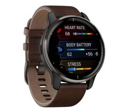 Смарт-часы Garmin Venu 2 Plus Black + Slate Leather (010-02496-15)