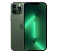 Смартфон Apple iPhone 13 Pro Max 512GB Alpine Green (MNCR3)