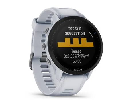 Спортивные часы Garmin Forerunner 955 Whitestone (010-02638-11/31)