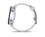 Спортивные часы Garmin Forerunner 955 Solar Whitestone (010-02638-01/21) 6