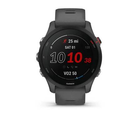 Спортивные часы Garmin Forerunner 255 Slate Gray (010-02641-00/10)