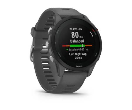 Спортивные часы Garmin Forerunner 255 Slate Gray (010-02641-00/10)