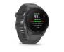 Спортивные часы Garmin Forerunner 255 Slate Gray (010-02641-00/10)