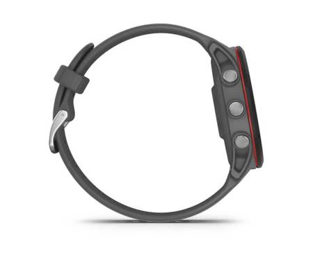 Спортивные часы Garmin Forerunner 255 Slate Gray (010-02641-00/10)
