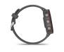 Спортивные часы Garmin Forerunner 255 Slate Gray (010-02641-00/10)