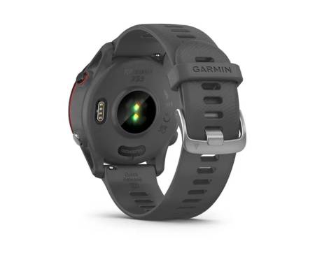 Спортивные часы Garmin Forerunner 255 Slate Gray (010-02641-00/10)