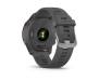 Спортивные часы Garmin Forerunner 255 Slate Gray (010-02641-00/10)