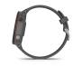 Спортивные часы Garmin Forerunner 255 Slate Gray (010-02641-00/10)