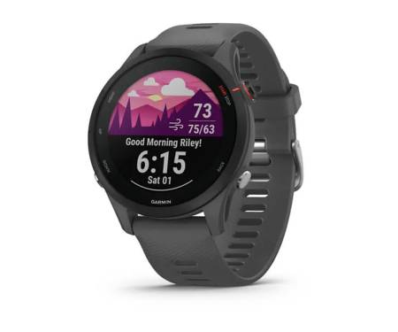 Спортивные часы Garmin Forerunner 255 Slate Gray (010-02641-00/10)