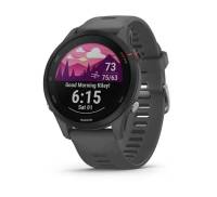 Спортивные часы Garmin Forerunner 255 Slate Gray (010-02641-00/10)