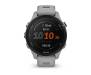 Спортивные часы Garmin Forerunner 255S Powder Gray (010-02641-02/12)