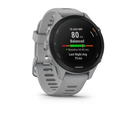 Спортивные часы Garmin Forerunner 255S Powder Gray (010-02641-02/12)