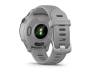 Спортивные часы Garmin Forerunner 255S Powder Gray (010-02641-02/12)