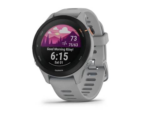 Спортивные часы Garmin Forerunner 255S Powder Gray (010-02641-02/12)