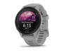 Спортивные часы Garmin Forerunner 255S Powder Gray (010-02641-02/12)