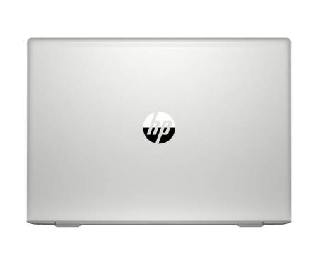 Ноутбук HP ProBook 455 G8 Pike Silver (1Y9H0AV_ITM1) 4