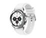 Смарт-часы Samsung Galaxy Watch4 Classic 42mm LTE Silver (SM-R885FZSA) 1