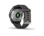Смарт-годинник Garmin Fenix 7S Silver with Graphite Band (010-02539-00/01)
