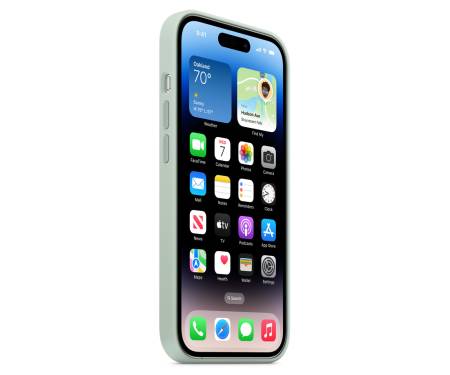 Чохол для Apple iPhone 14 Pro Silicone Case with MagSafe - Succulent (MPTL3) 6