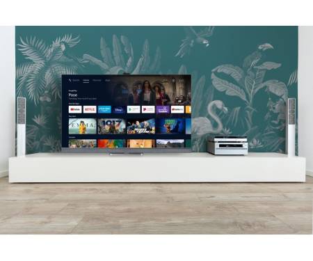 TCL Телевизор 55C825