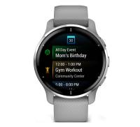 Смарт-часы Garmin Venu 2 Plus Silver S. Steel Bezel w. Powder G. Case and S. Band (010-02496-00/10)