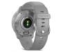 Смарт-часы Garmin Venu 2 Plus Silver S. Steel Bezel w. Powder G. Case and S. Band (010-02496-00/10)