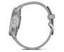 Смарт-часы Garmin Venu 2 Plus Silver S. Steel Bezel w. Powder G. Case and S. Band (010-02496-00/10)