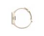 Смарт-годинник Xiaomi Redmi Watch 2 Lite Beige (BHR5439GL)