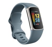 Fitbit 256476