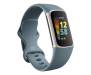 Смарт-часы Fitbit Charge 5 Steel Blue/Platinum Stainless Steel (FB421SRBU) 1