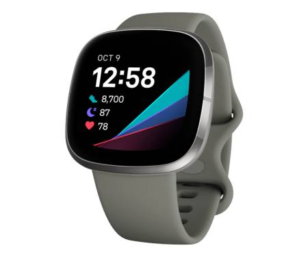 Смарт-часы Fitbit Sense Sage Grey / Silver Stainless Steel 1