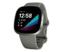 Смарт-часы Fitbit Sense Sage Grey / Silver Stainless Steel 1