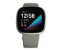 Смарт-часы Fitbit Sense Sage Grey / Silver Stainless Steel 2