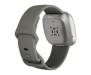 Смарт-часы Fitbit Sense Sage Grey / Silver Stainless Steel 4