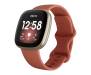 Смарт-часы Fitbit Versa 3 Pink Clay / Soft Gold Aluminium 1