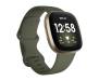 Смарт-часы Fitbit Versa 3 Olive / Soft Gold Aluminum 3