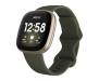 Смарт-часы Fitbit Versa 3 Olive / Soft Gold Aluminum 1