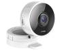 D-Link DCS-8100LH